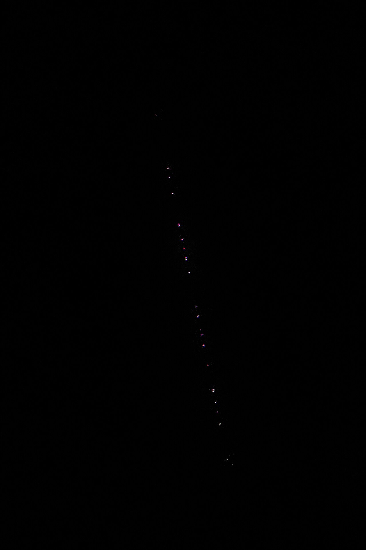 Starlink satellites crossing the night sky seen from Poland